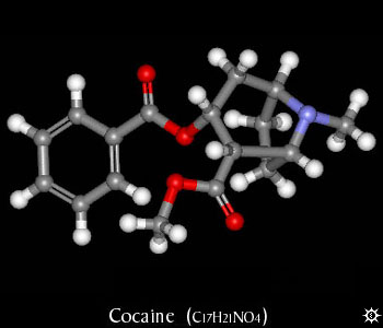 Cocaine Molecule