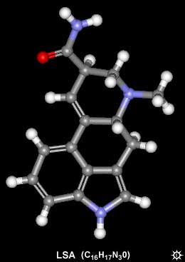 LSA molecule