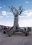 1999_bm_car_tree1.jpg