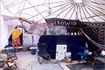 1999_bm_erowid_dome4.jpg