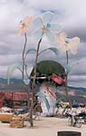 2000_bm_giant_flowers2.jpg