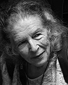 Ann Shulgin