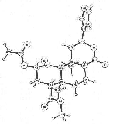 Salvia Structure